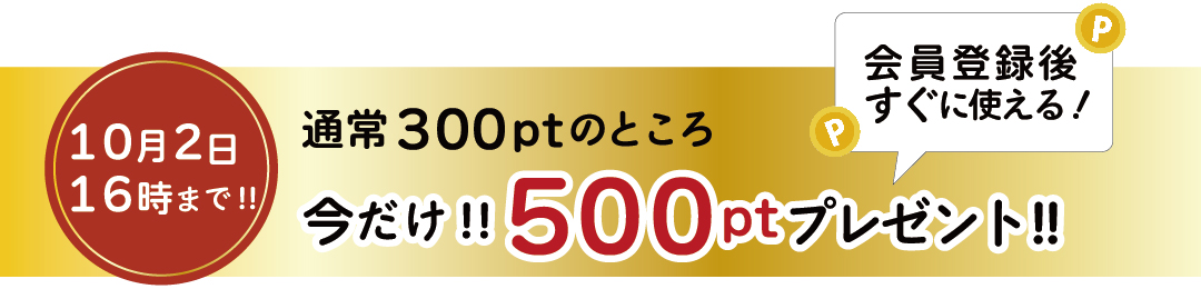 今だけ500ﾎﾟｲﾝﾄﾌﾟﾚｾﾞﾝﾄ